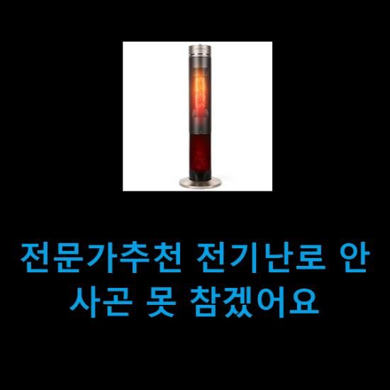 전문가추천 전기난로 안사곤 못 참겠어요 전문가추천 전기난로 안사곤 못 참겠어요