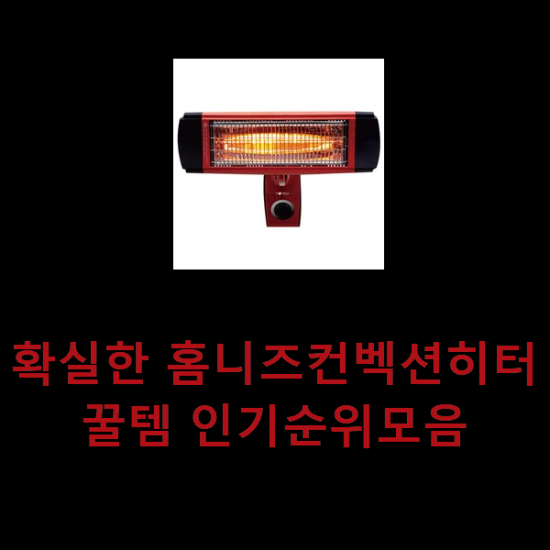확실한 홈니즈컨벡션히터 꿀템 인기순위모음 확실한 홈니즈컨벡션히터 꿀템 인기순위모음