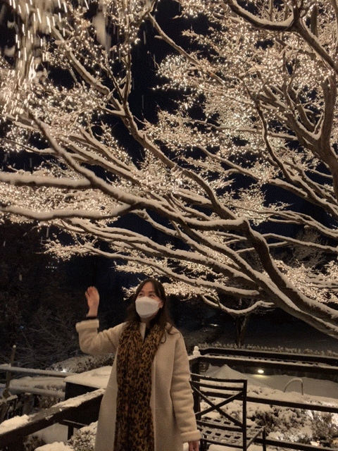 함박눈 가득내린 생일날 남산 그랜드 하얏트 서울 클럽룸, 아이스링크