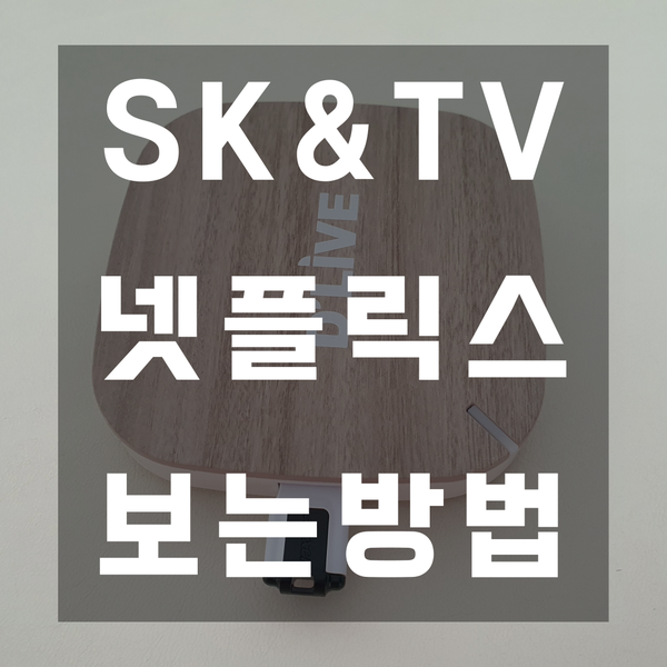  넷플릭스 SK사용자도 옛날 티비도 딜라이브 하나면 끝