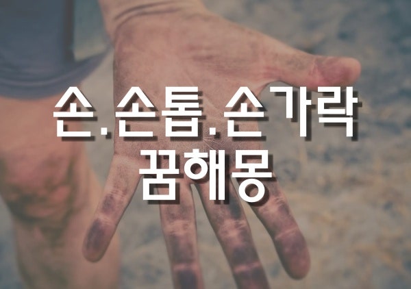 무료꿈해몽풀이 손꿈 손톱꿈 손가락꿈 손목꿈 똥만지는꿈 손씻는꿈 손잡는꿈 손베이는꿈 손....