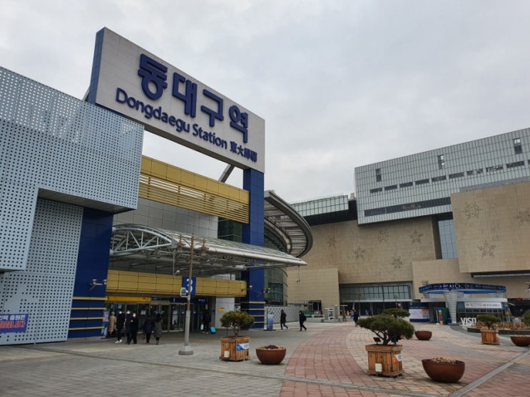  대구 부동산 분위기 및 느낀점