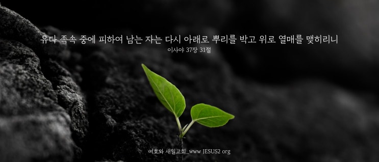 새일교회 인간의 종말 | 천년 시대의 역사 새일교회 인간의 종말 | 천년 시대의 역사