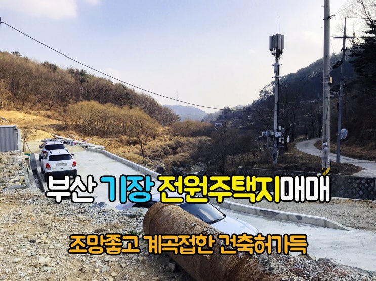  기장부동산(3-58)계곡접한 주위는 산으로 둘러쌓여 힐링하기 좋은 부산땅 기장전원주택지 496m2 매매 입니다