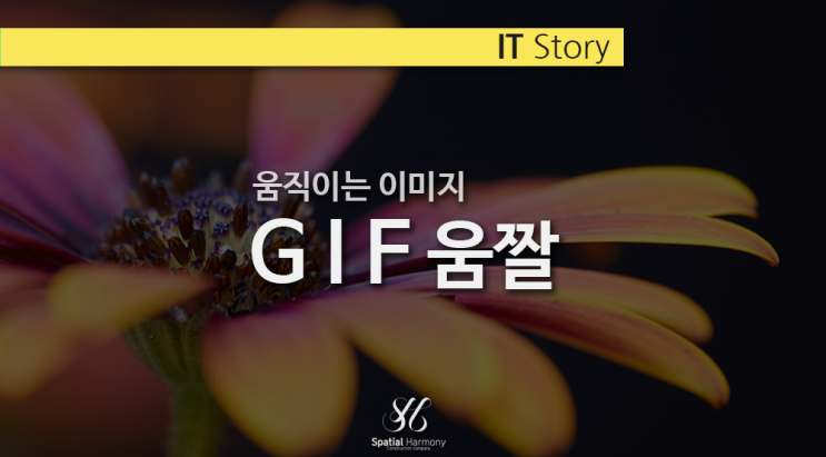  짤 만들기_ gif 동영상 변환으로 움직이는 이미지 만들기_ ezgif