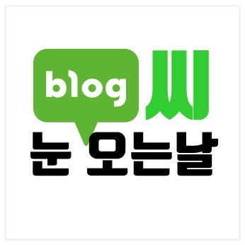  눈 오는 날