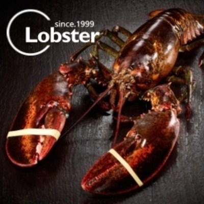 선택고민 해결 푸릇푸릇 활 랍스터 랍스타 바닷가재 버터구이 요리 용 lobster 캐나다 자숙랍스터 랍스터테일 500g 1kg, 활 랍스터 500g 1마리 추천해요 선택고민 해결 푸릇푸릇 활 랍스터 랍스타 바닷가재 버터구이 요리 용 lobster 캐나다 자숙랍스터 랍스터테일 500g 1kg, 활 랍스터 500g 1마리 추천해요