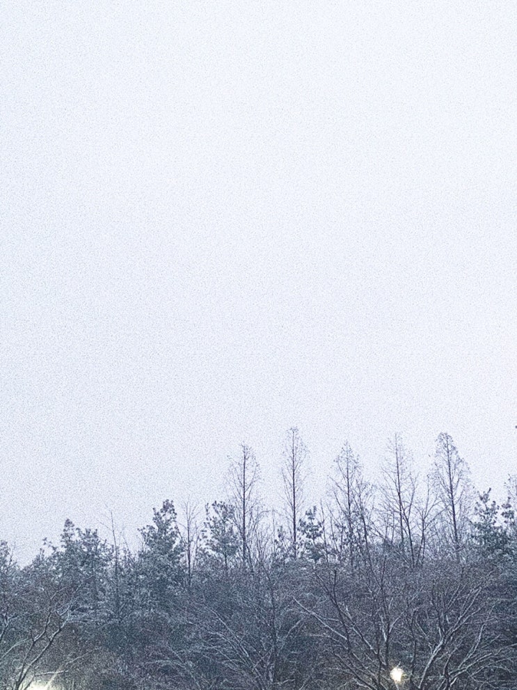  휴대폰 배경화면 고화질 : Winter