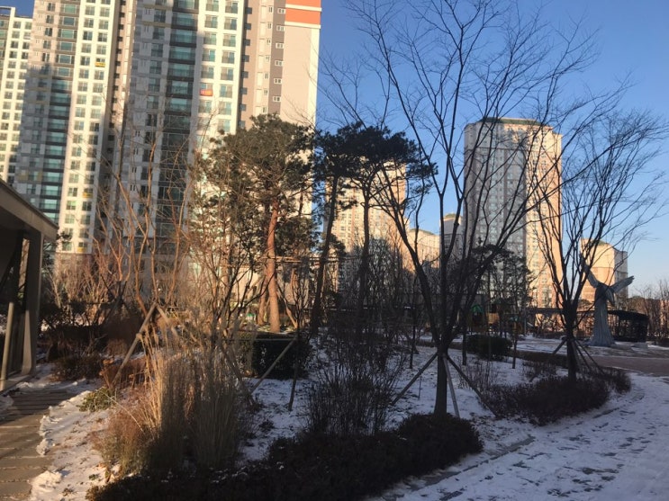  2020년 전국, 최고의 청약 경쟁률은 얼마? 어디?