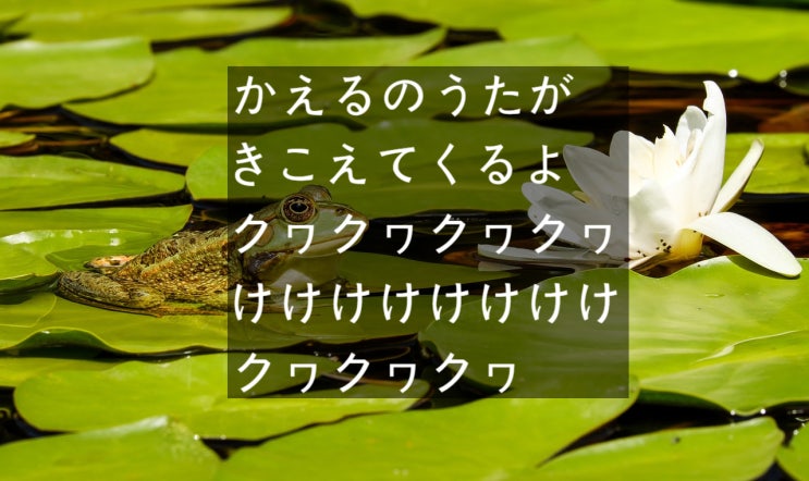  쉬운 일본 동요로 일본어 배우기, かえるのうた(개구리의 노래, 아기돼지의 노래, 오리의 노래)