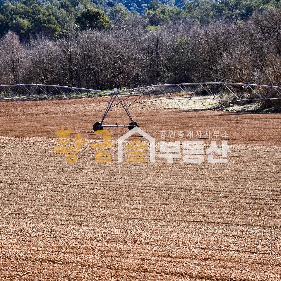 양택저수지 사진 1