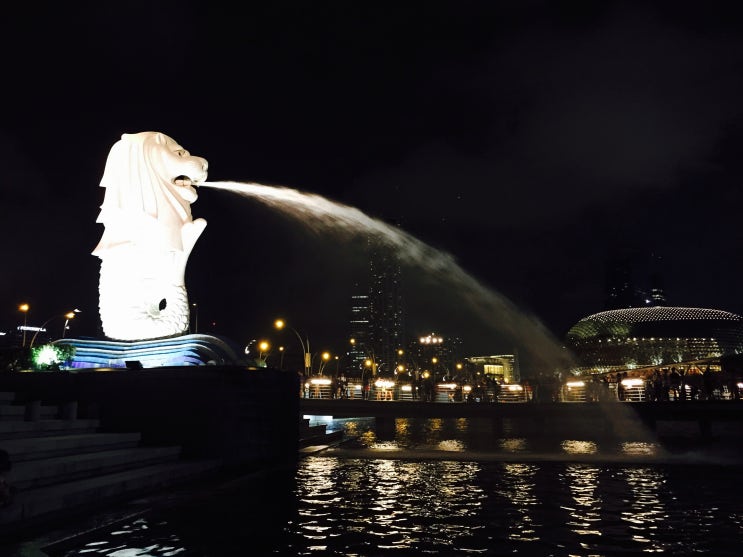  싱가폴_Day1 Singapore 여행 준비