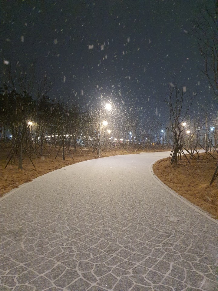  눈 오는 날