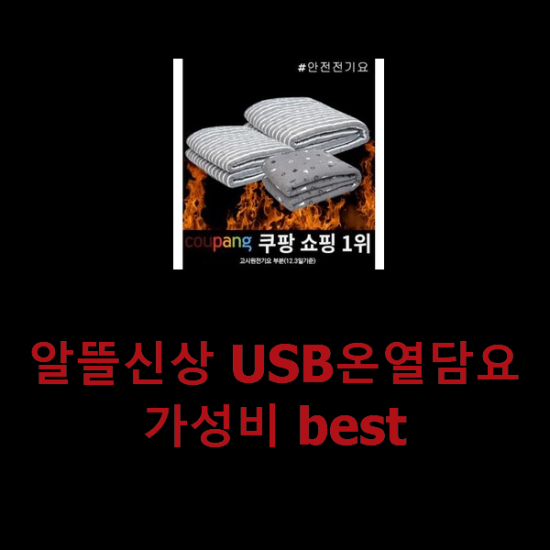 알뜰신상 USB온열담요 가성비 best 알뜰신상 USB온열담요 가성비 best
