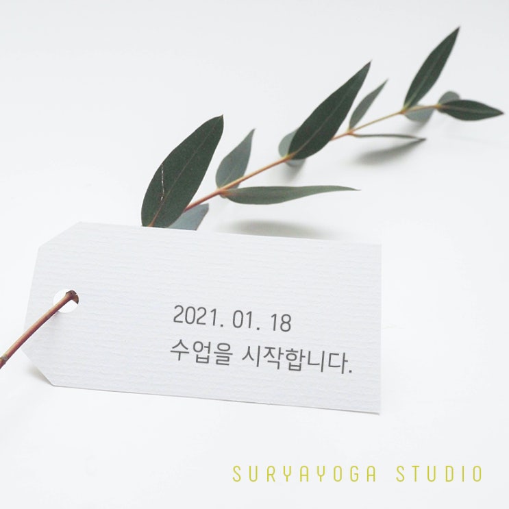  [인계동요가] 수리야요가 수업을 시작합니다.
