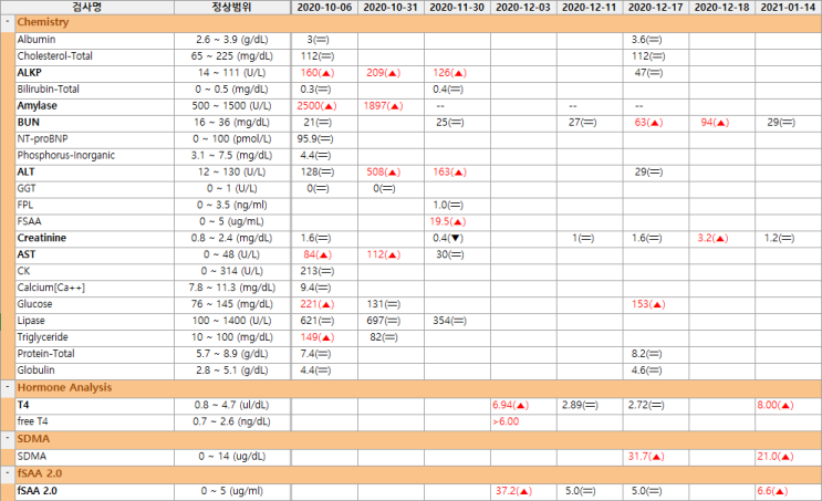 고양이 치로의 췌장염(세동이염), 지방간, 갑기항, 급성 만성 신부전(신장 질환) 혈검 기록, 20년 10월 6일 ~ 20년 12월 11일