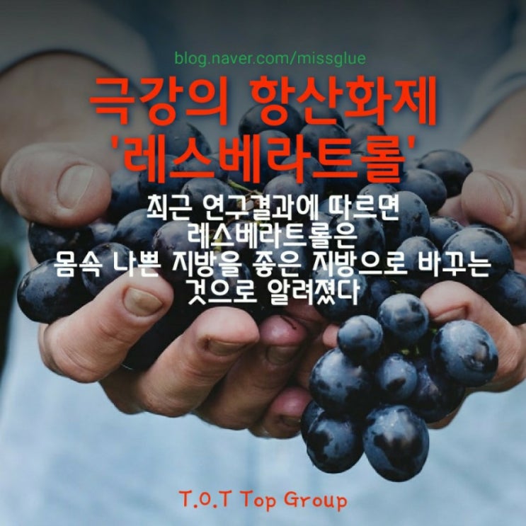  레스베라트롤 효능7가지 제대로 파헤치기
