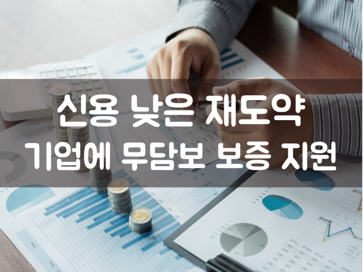  신용 낮은 재도약기업에 무담보 보증 지원