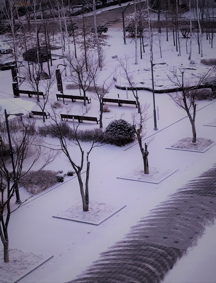  COVID-19_1