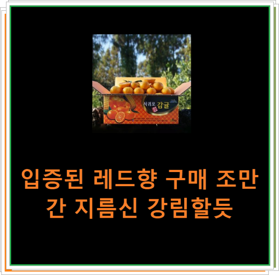 입증된 레드향 구매 조만간 지름신 강림할듯 입증된 레드향 구매 조만간 지름신 강림할듯