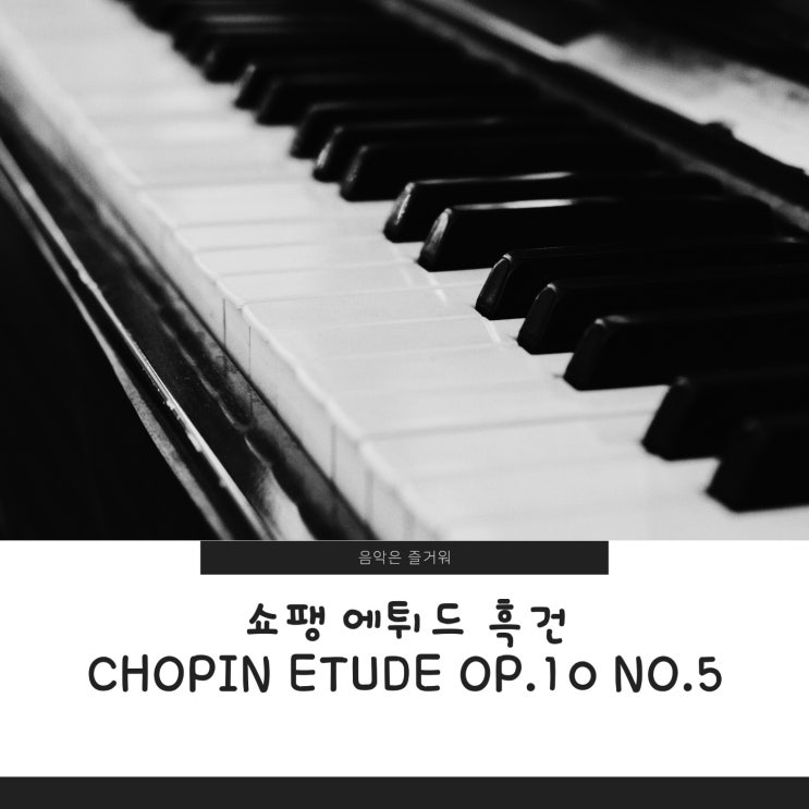 쇼팽 흑건 악보 Chopin Etude Op.10 No.5