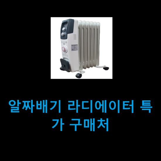 알짜배기 라디에이터 특가 구매처 알짜배기 라디에이터 특가 구매처