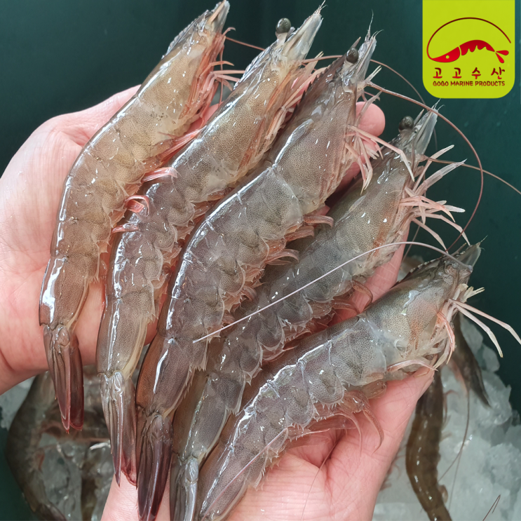 인지도 있는 고고수산 국내산 급냉 왕새우 1kg(23~28미) 신안새우 대하 생새우 활새우 수산물 shrimp, 1개, 1kg ···