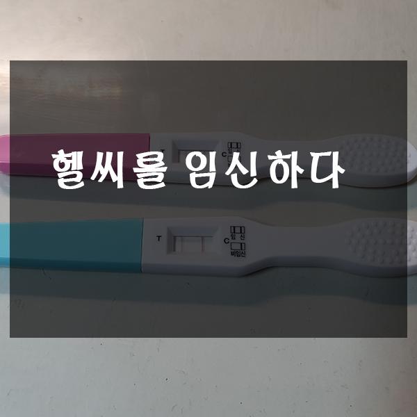  헬씨를 임신하다.
