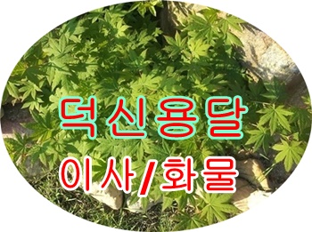 덕신용달 진하 출발합니다. 덕신용달 진하 출발합니다.