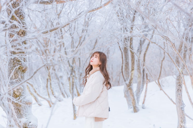  평창 발왕산케이블카 스카이워크 겨울왕국 실사판