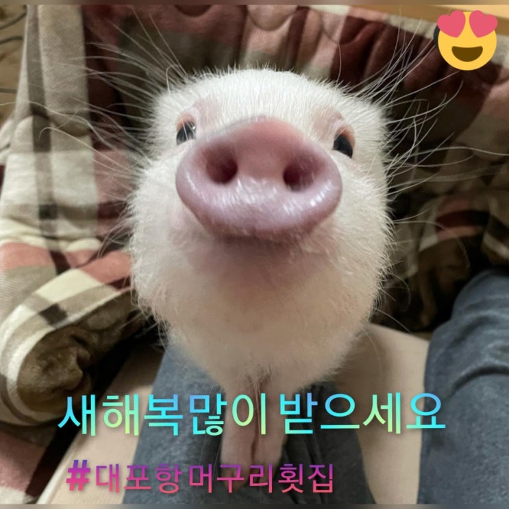  대포항맛집 입니다!!