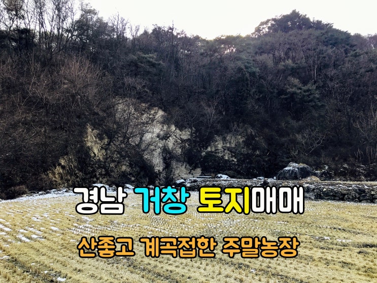  거창부동산(1-719) 계곡접한 산좋은 조망좋은 주말농장 경남토지 거창땅 1,574m2 매매 입니다