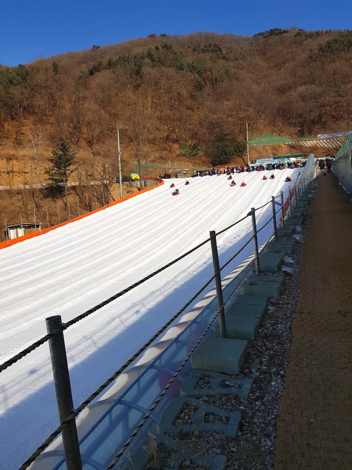  양주눈꽃축제눈썰매장 얼음썰매 소독철저해요