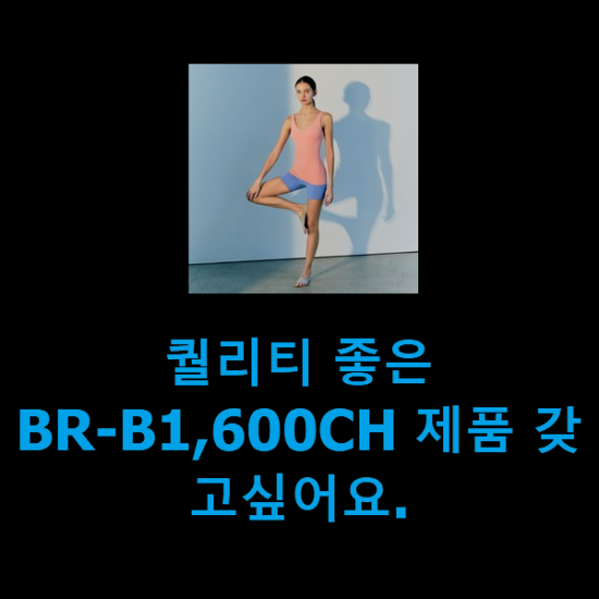 퀄리티 좋은 BR-B1,600CH 제품 갖고싶어요.