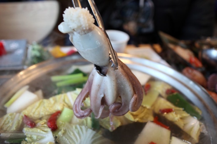 옥련동횟집 촌놈횟집 쭈꾸미샤브샤브 새조개까지 대박