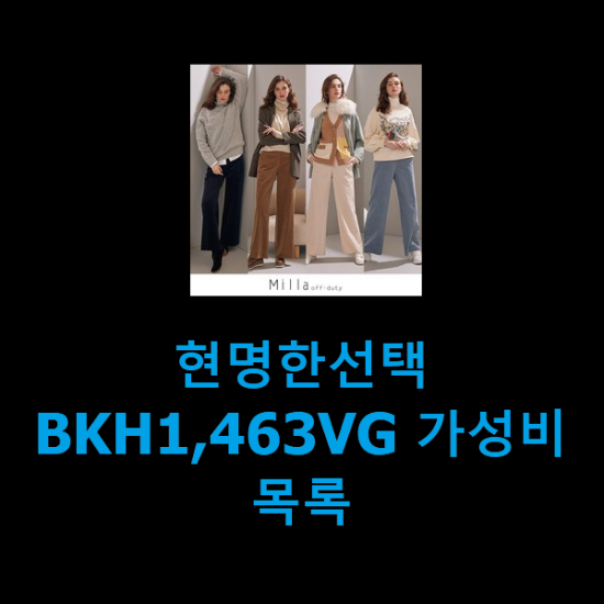 현명한선택 BKH1,463VG 가성비 목록