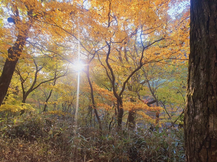  충북 보은 - 속리산 세조길