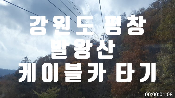  강원도 평창 가볼만한곳 발왕산케이블카 타고 올라가기