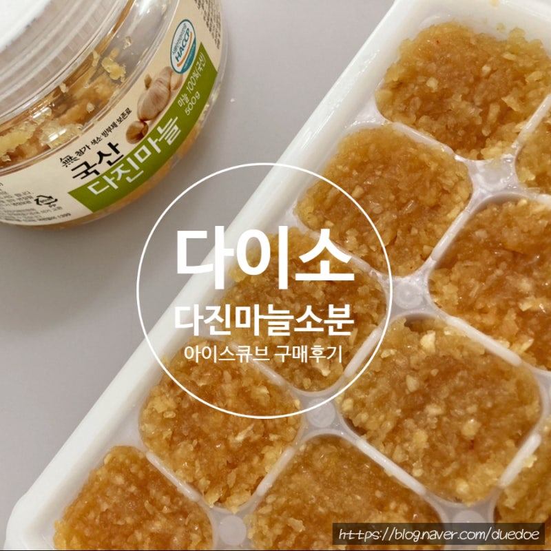 다이소 추천제품 아이스큐브 마늘소분해서 냉동 보관하기