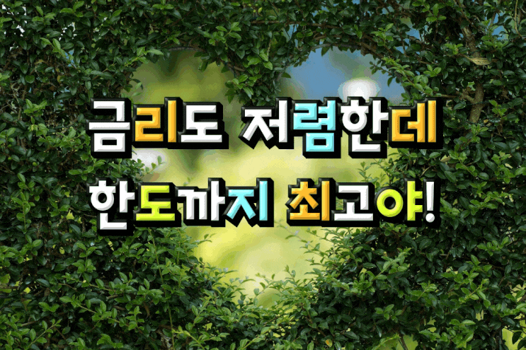  무설정하우스론대출 요점정리