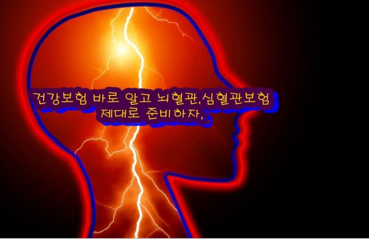  건강보험 바로 알고 심혈관, 뇌혈관 진단비 제대로 준비하자