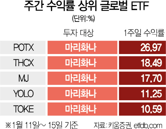 바이든 행정부 출범 앞두고...돈 몰리는 대마초 ETF