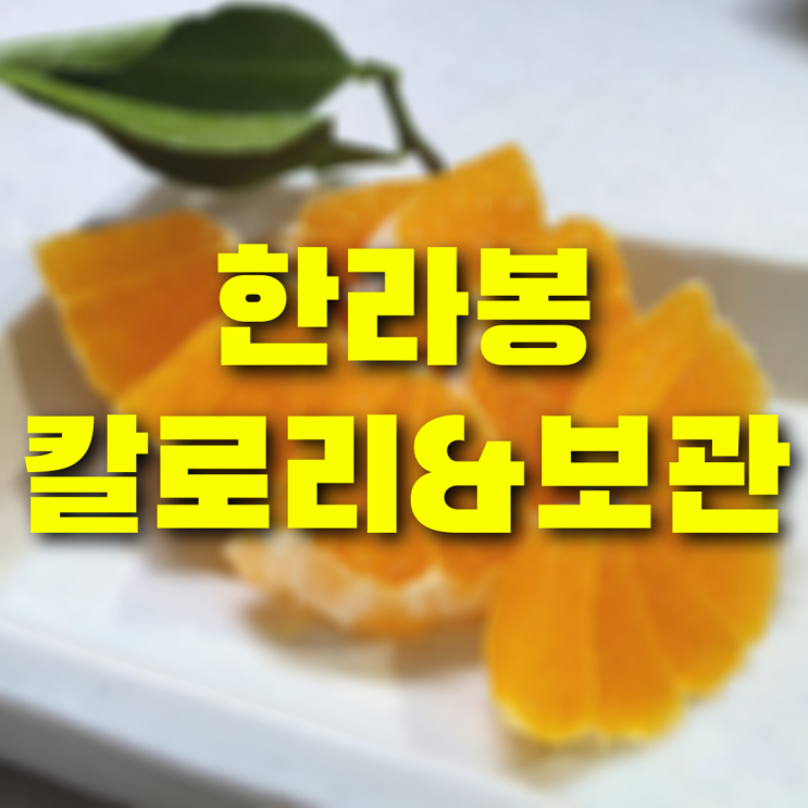 제주도 한라봉 칼로리 보관법 알고 상큼한 제철과일 즐기세요