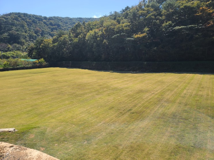 단풍이 물드는 한국 잔디 풍경