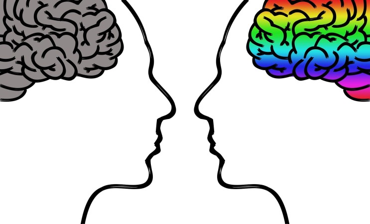여자와 남자의 뇌 구조의 차이
