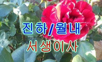 진하용달 서생 월내 이용하세요.