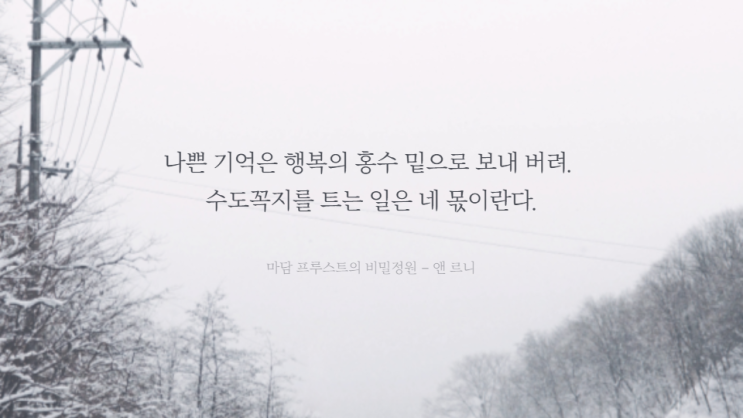 마담 프루스트의 비밀정원 (2013) 리뷰 - 부산정신과나우향