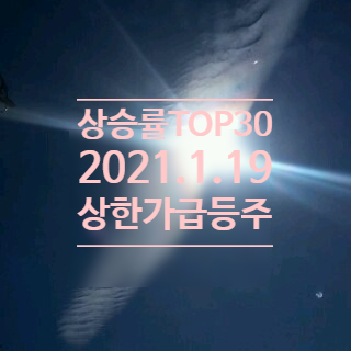  상승률TOP30 종목