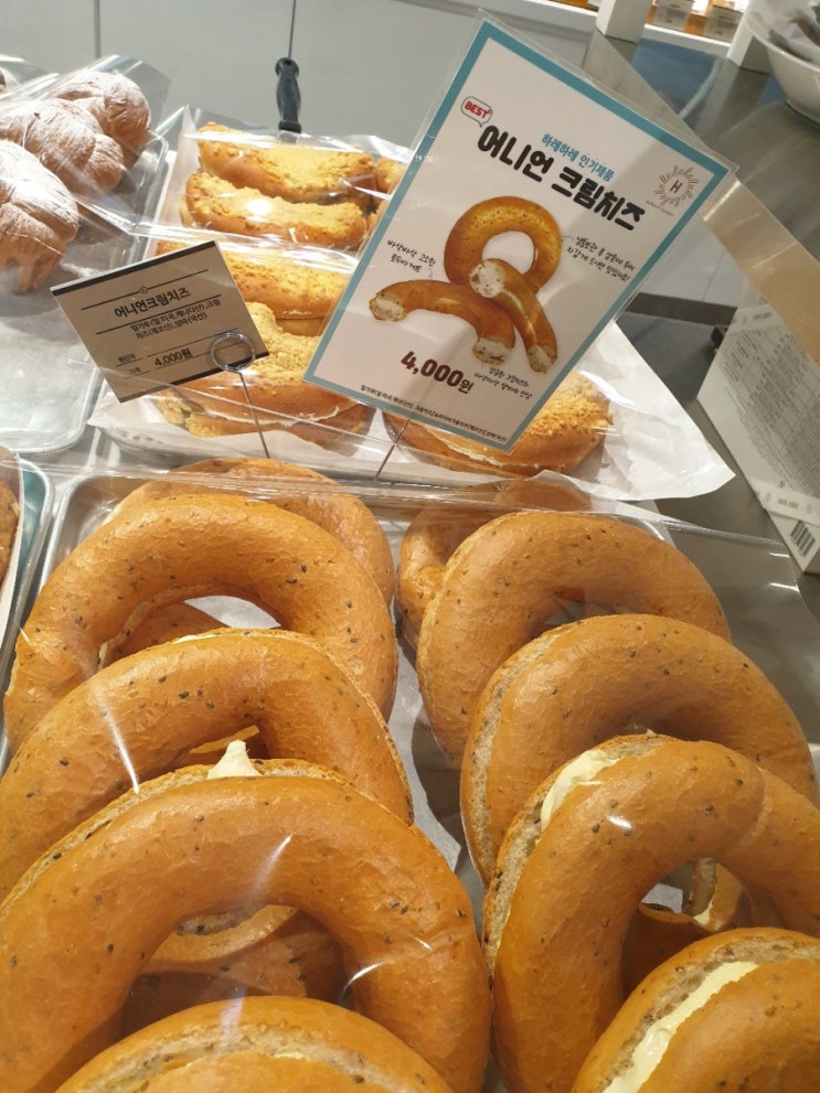  둔산동 하레하레