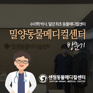  수의학 박사의 전문진료 동물병원, 밀양동물메디컬센터 방문기 (밀양시, 동물병원)